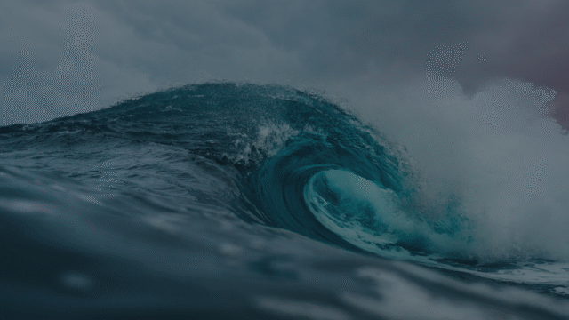 Simple Chill Nature Creative Desktop Wallpaper