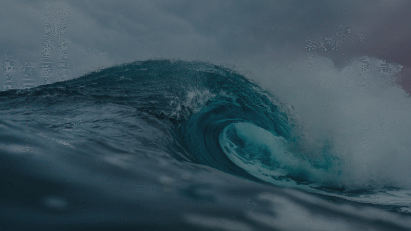 Simple Chill Nature Creative Desktop Wallpaper