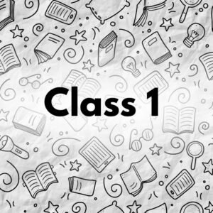 صورة مستوى 1